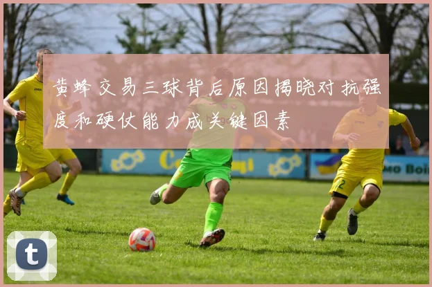 黄蜂交易三球背后原因揭晓对抗强度和硬仗能力成关键因素